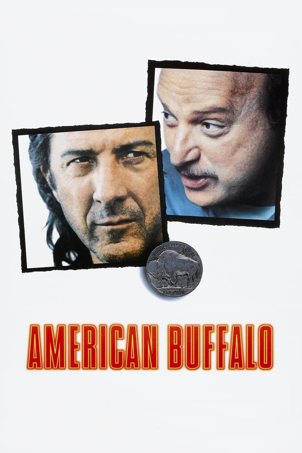 American Buffalo photo
