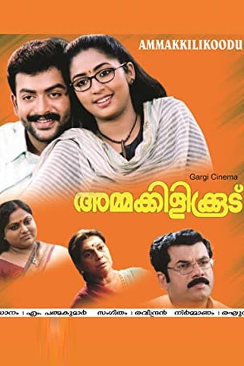Ammakilikkoodu photo