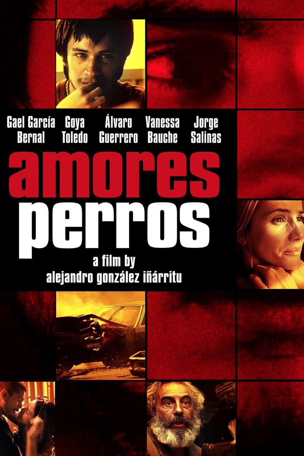 Amores Perros photo