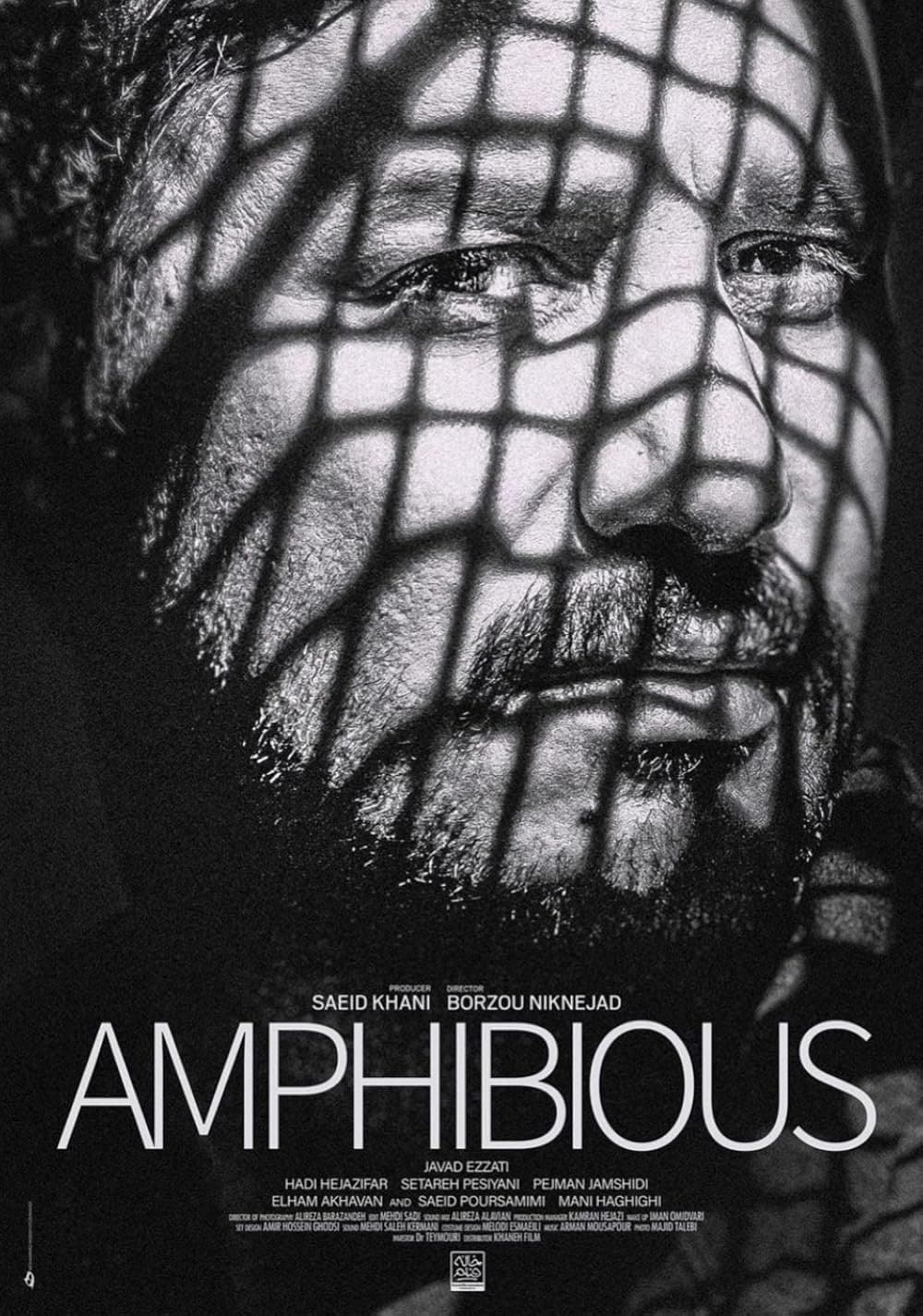 Amphibious photo