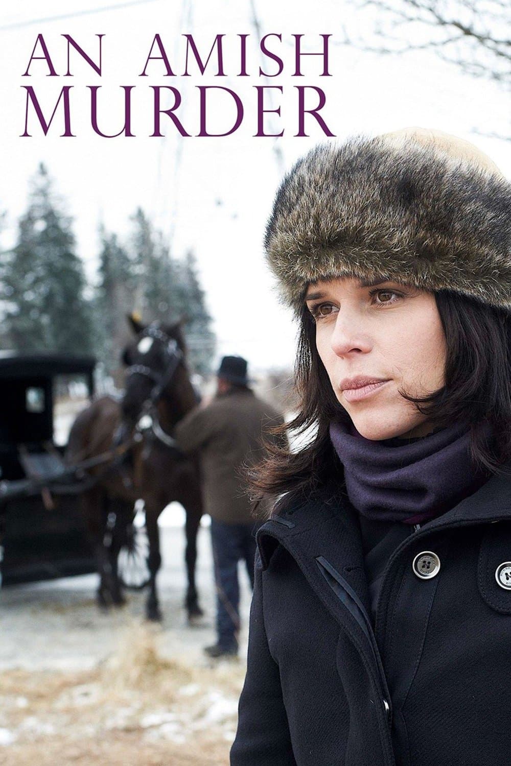 An Amish Murder photo