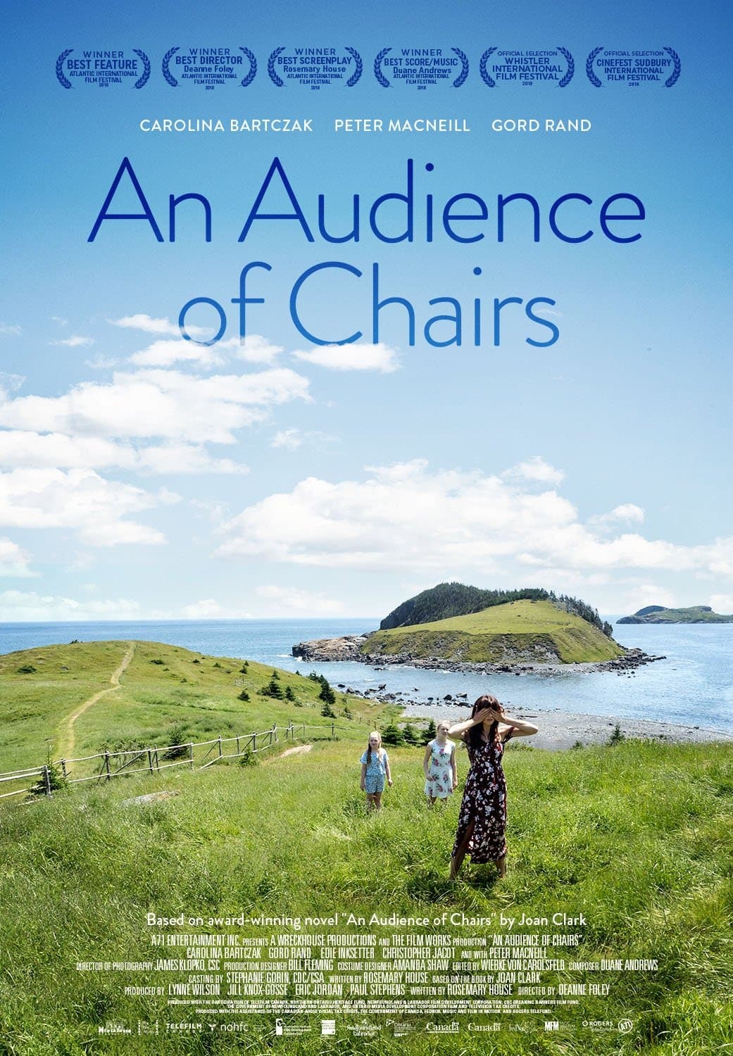 An Audience of Chairs photo