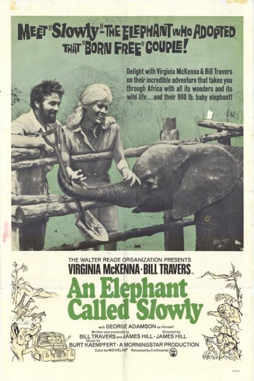 An Elephant Called Slowly photo