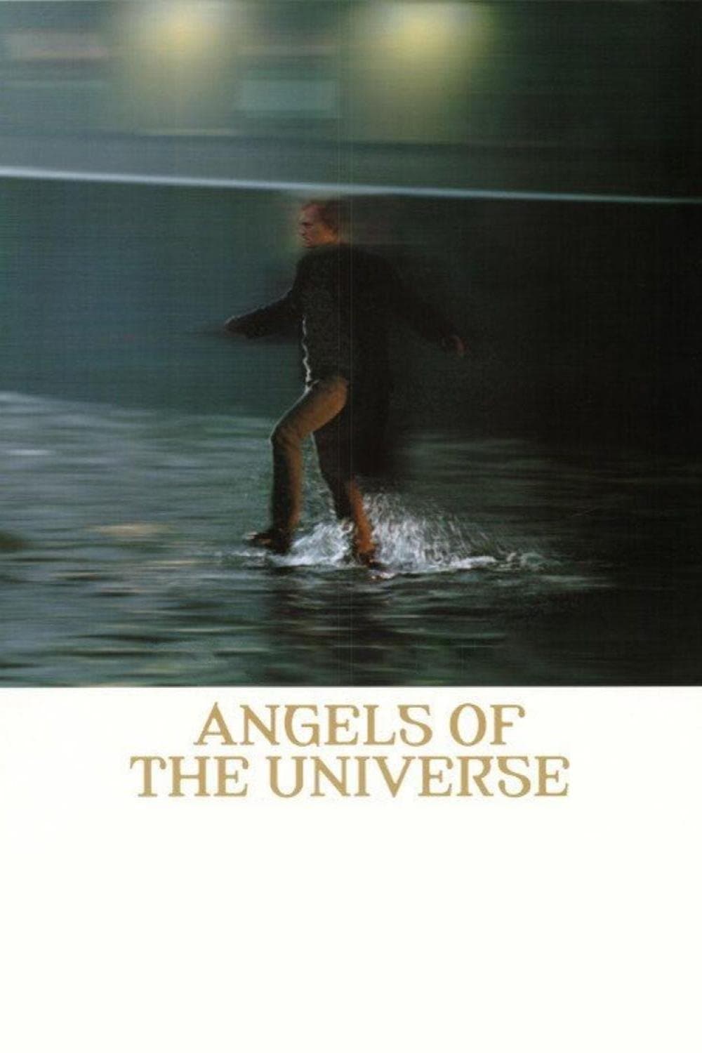 Angels of the Universe photo