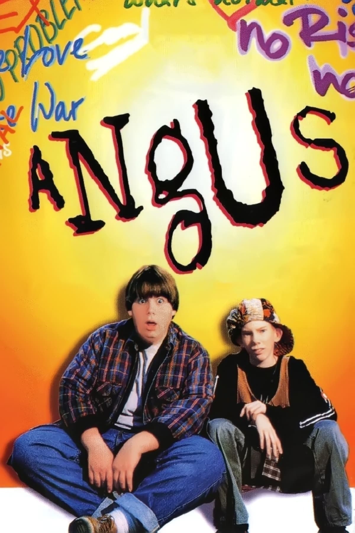 Angus photo