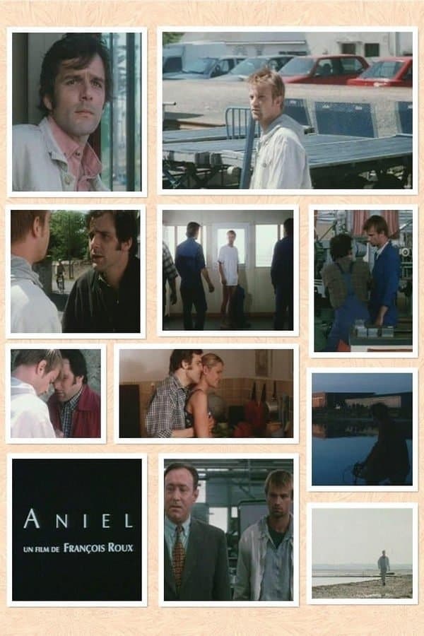 Aniel photo