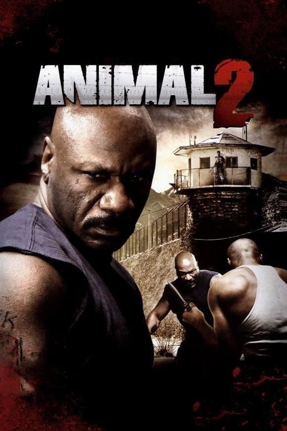 Animal 2 photo