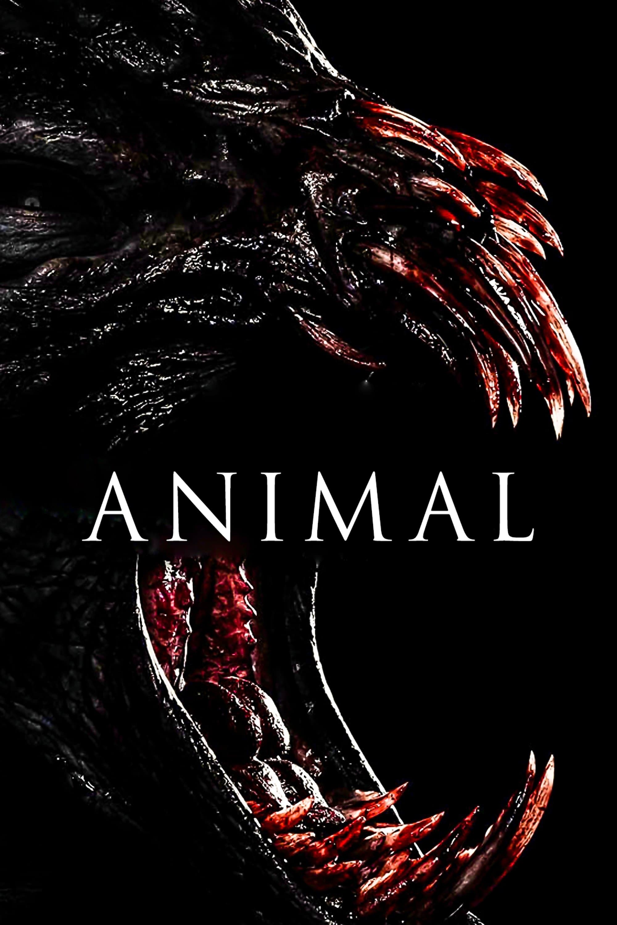 Animal photo