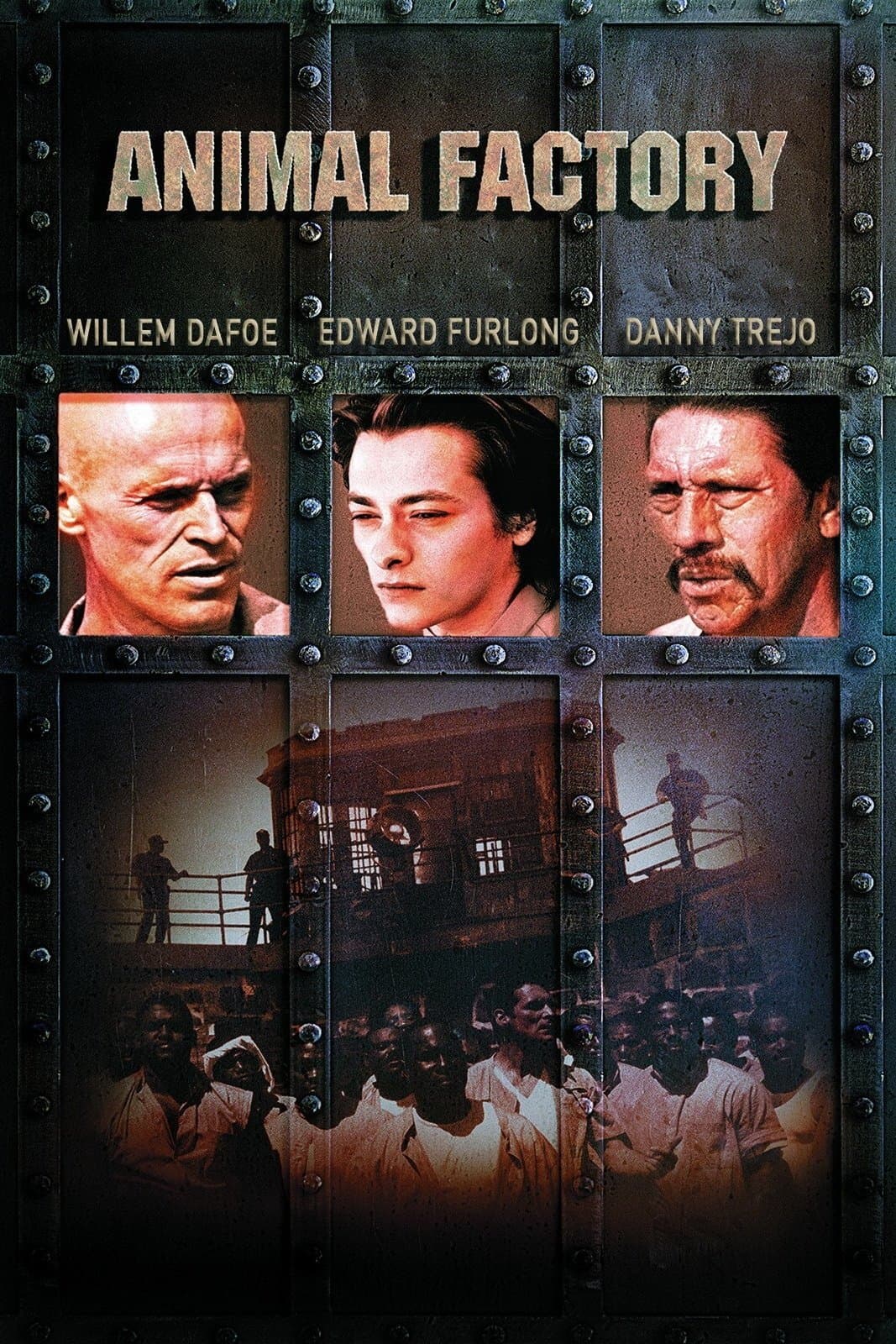Animal Factory photo