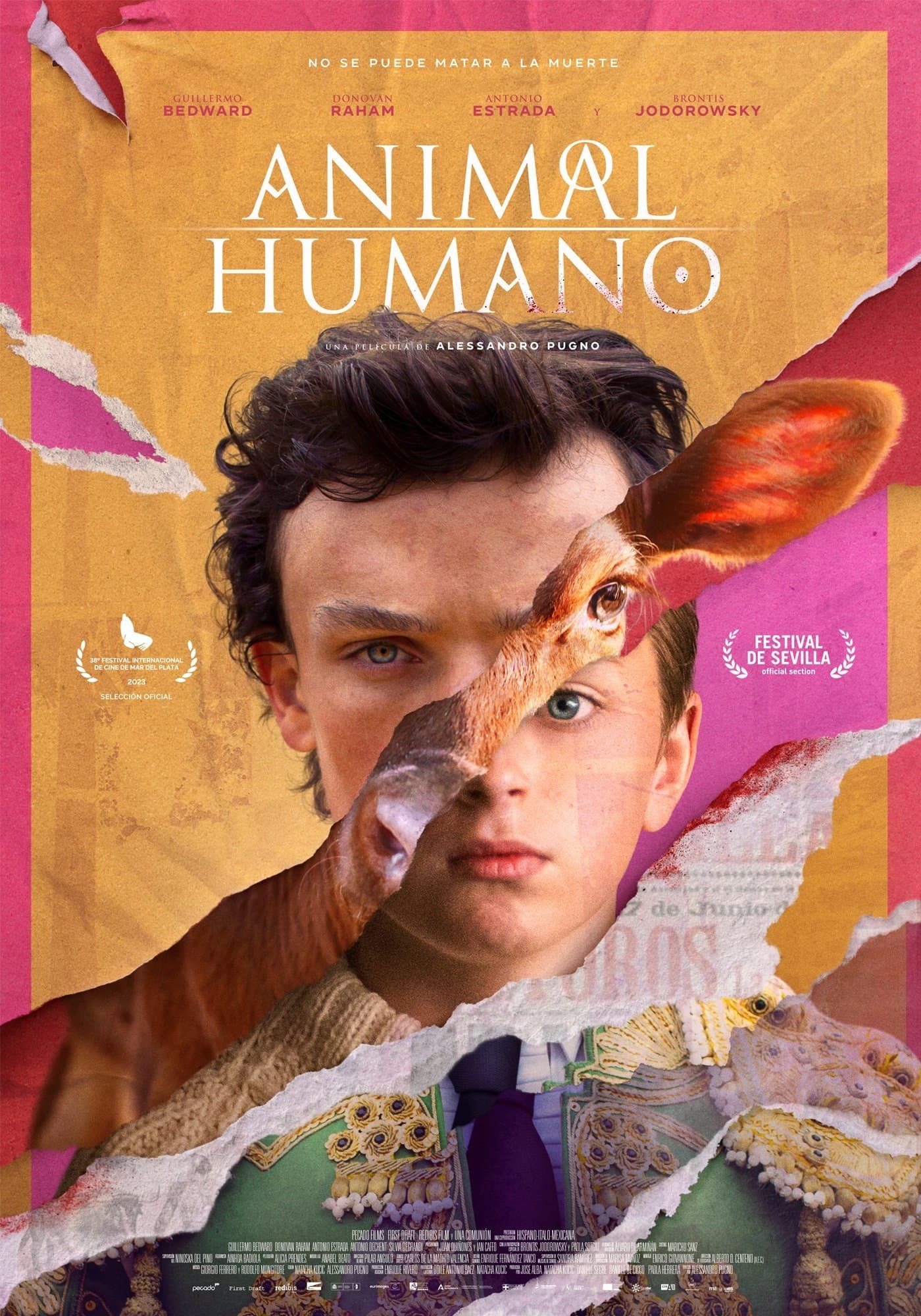Animal | Human photo