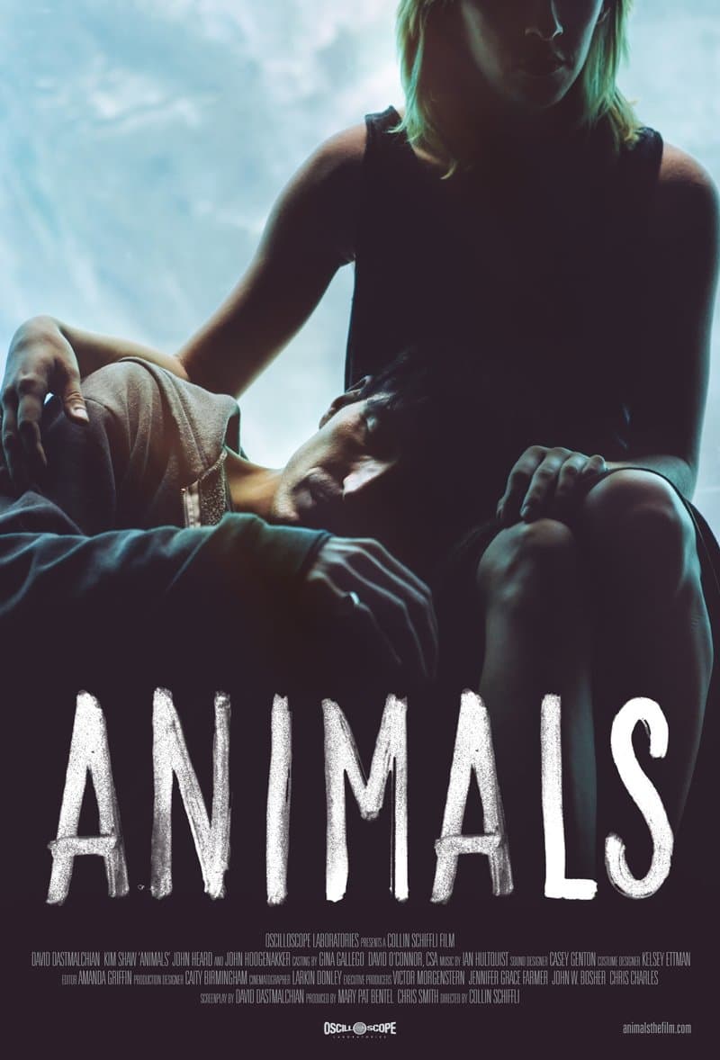 Animals photo