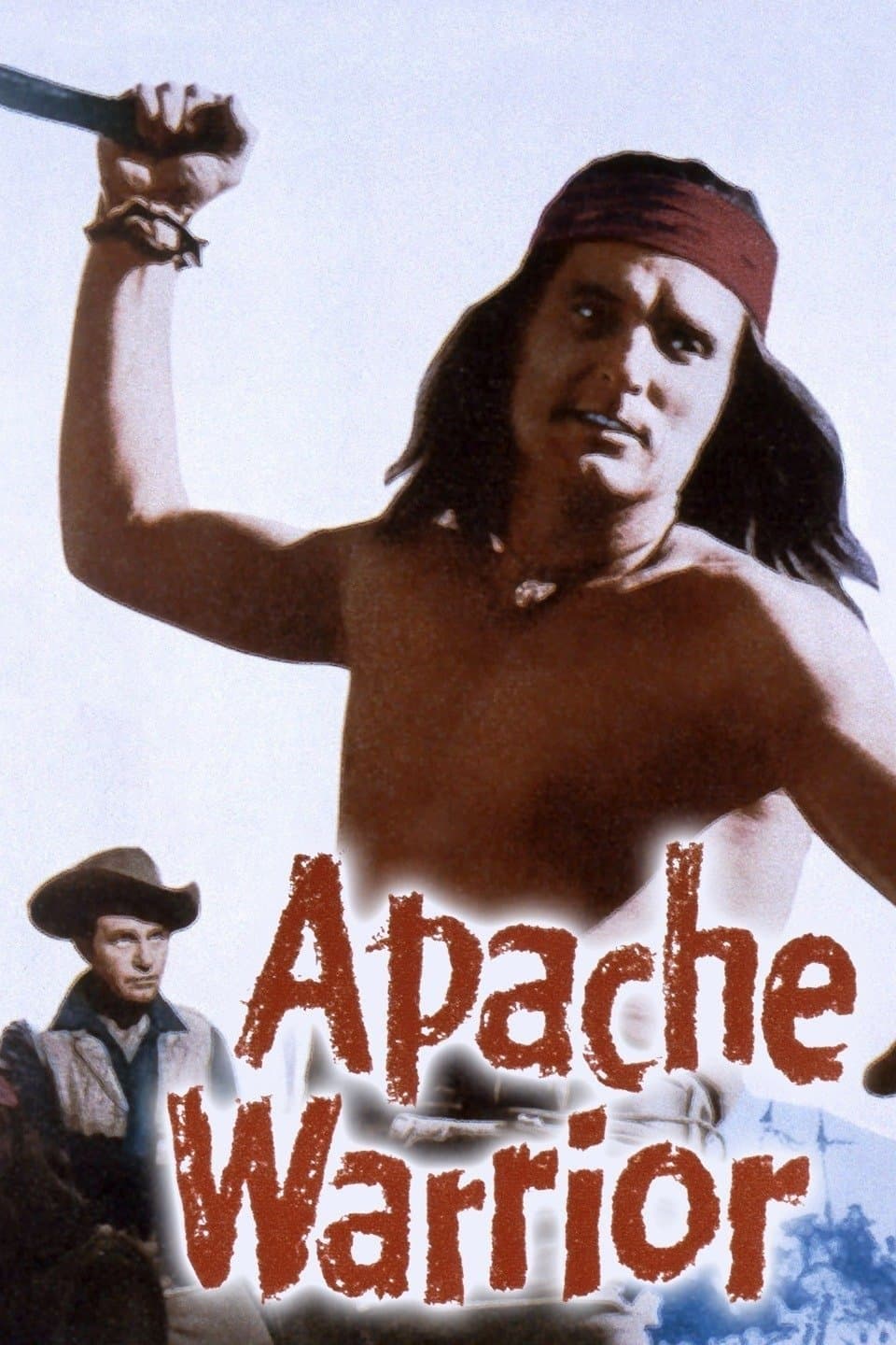 Apache Warrior photo