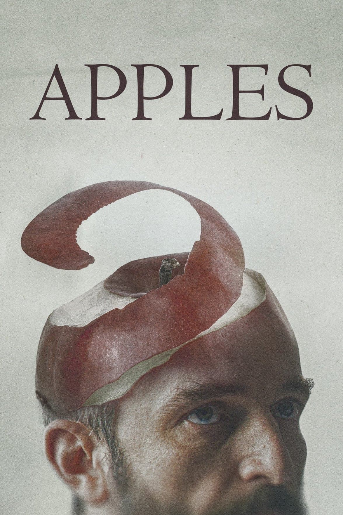 Apples photo