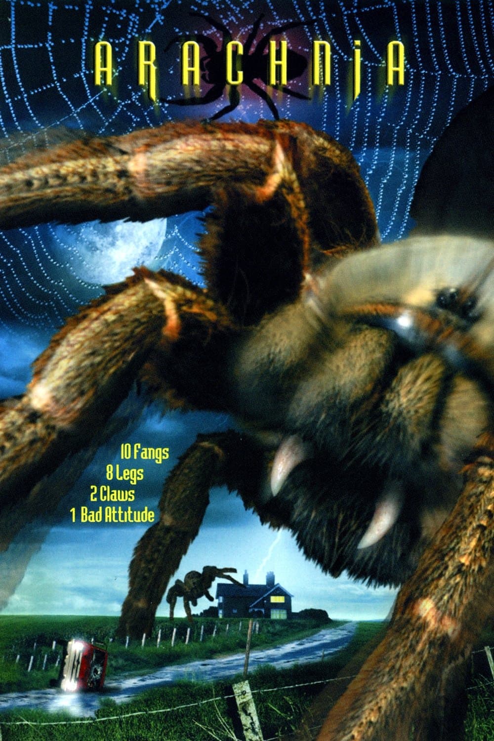 Arachnia photo