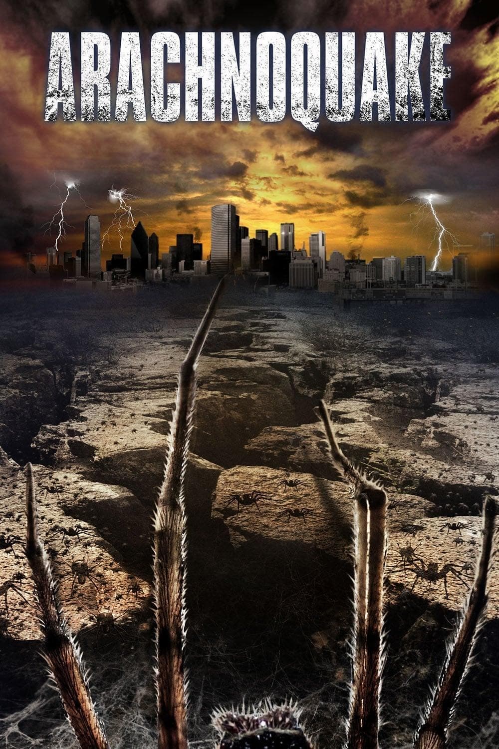 Arachnoquake photo