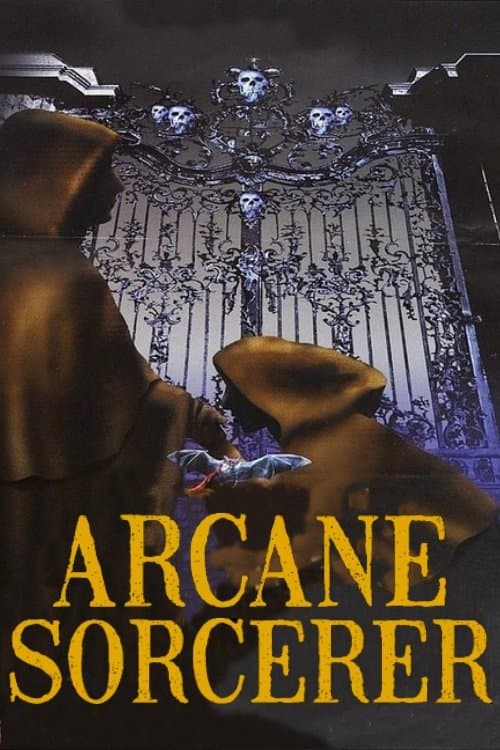 Arcane Sorcerer photo