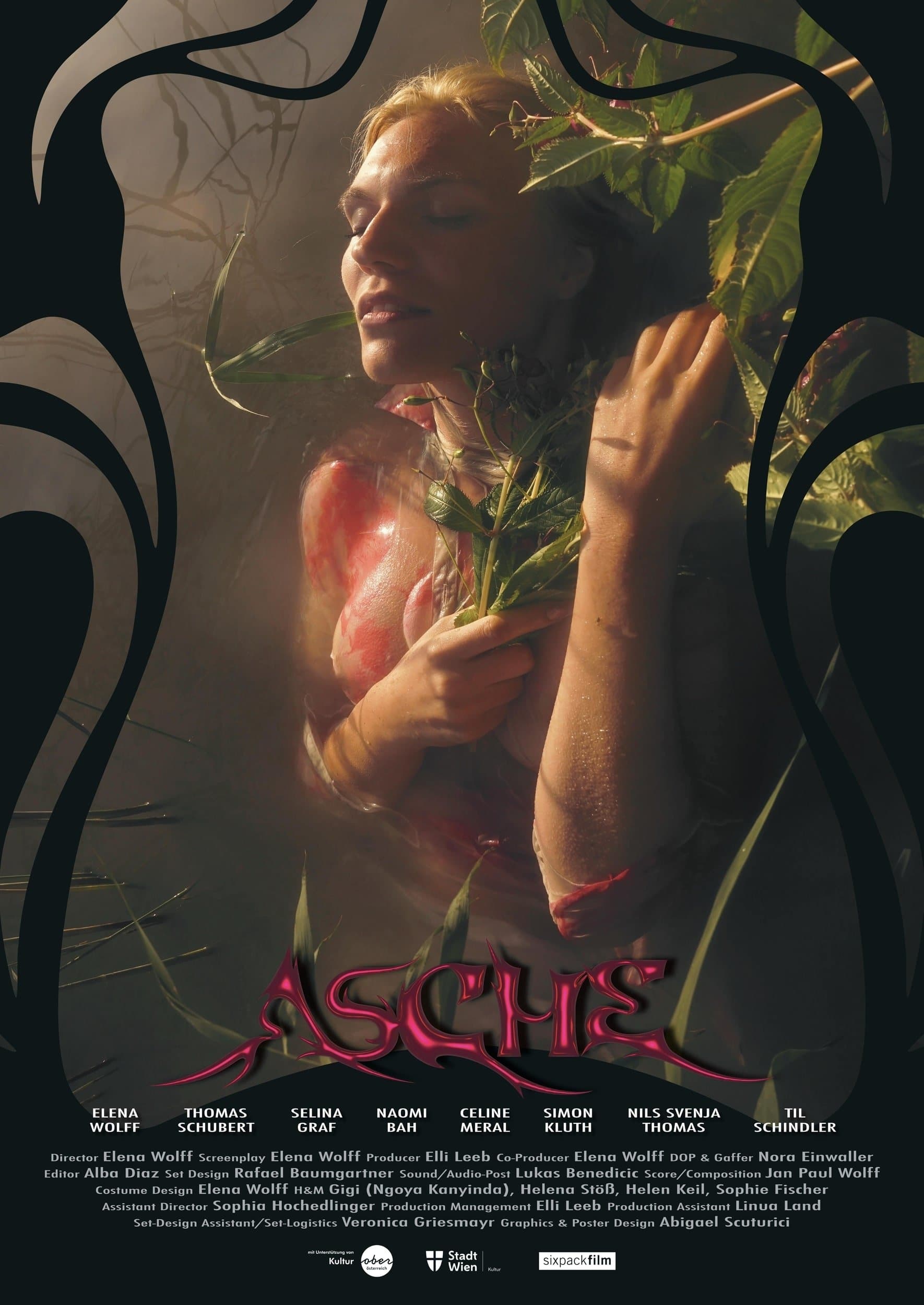 Asche photo