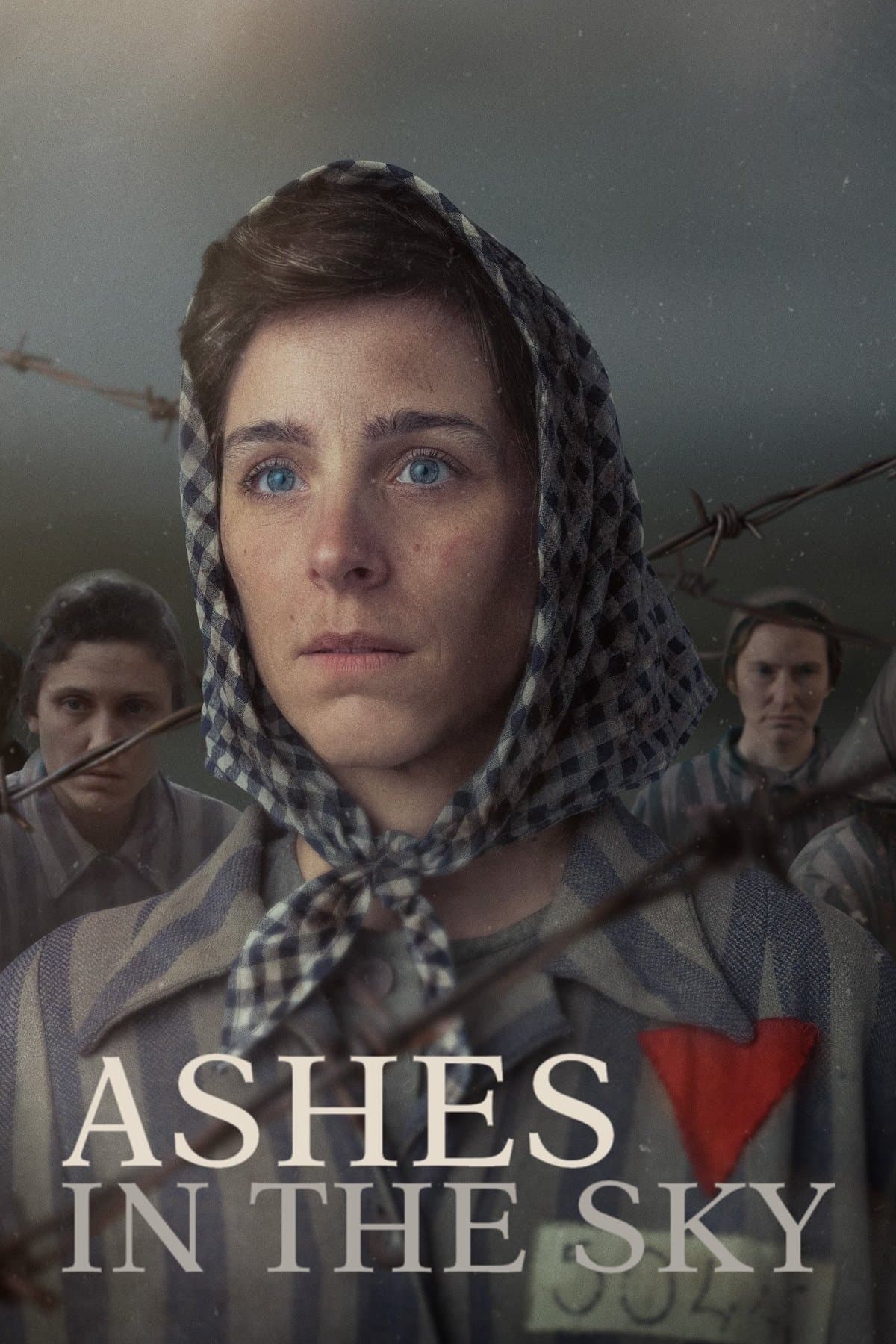 Ashes in the Sky photo