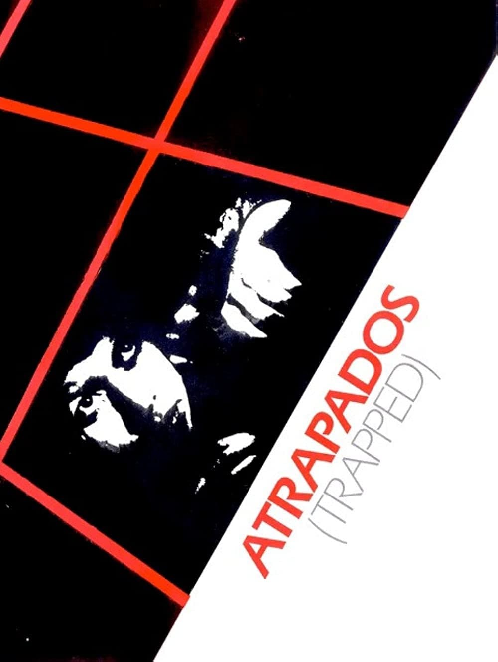 Atrapados photo