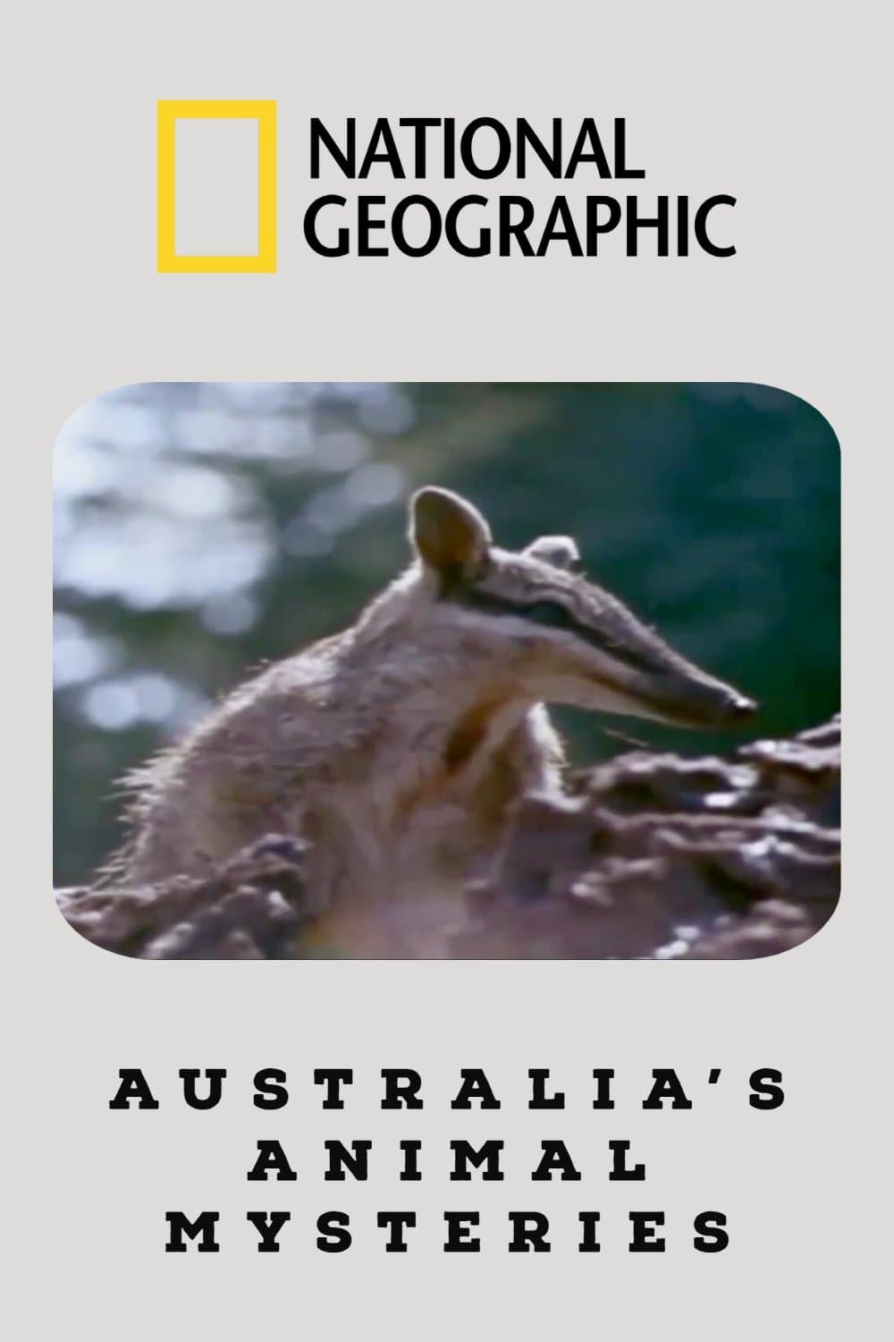 Australia's Animal Mysteries photo