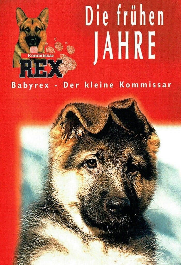 Baby Rex photo