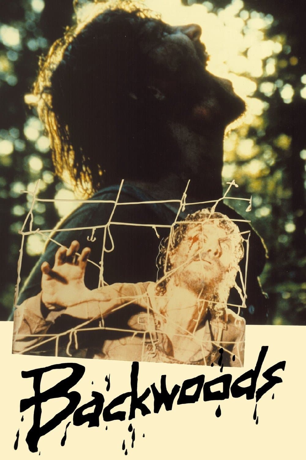 Backwoods photo