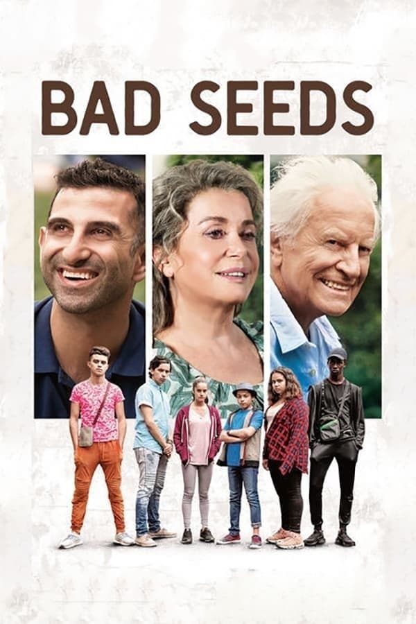 Bad Seeds photo