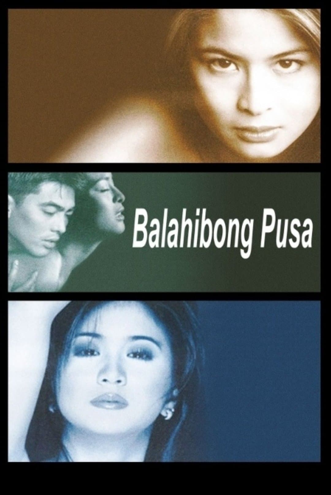 Balahibong Pusa photo