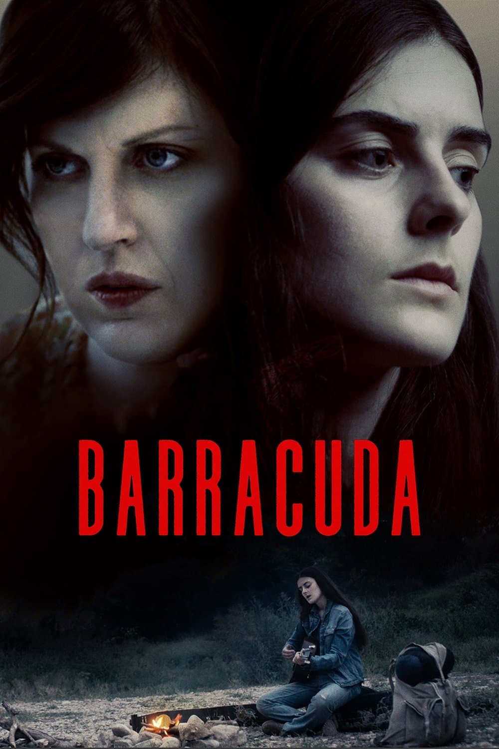 Barracuda photo