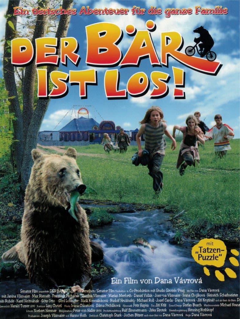 Bear on the Run photo