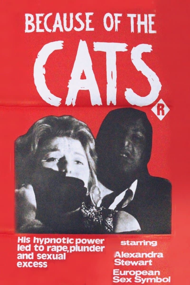 Because of the Cats photo
