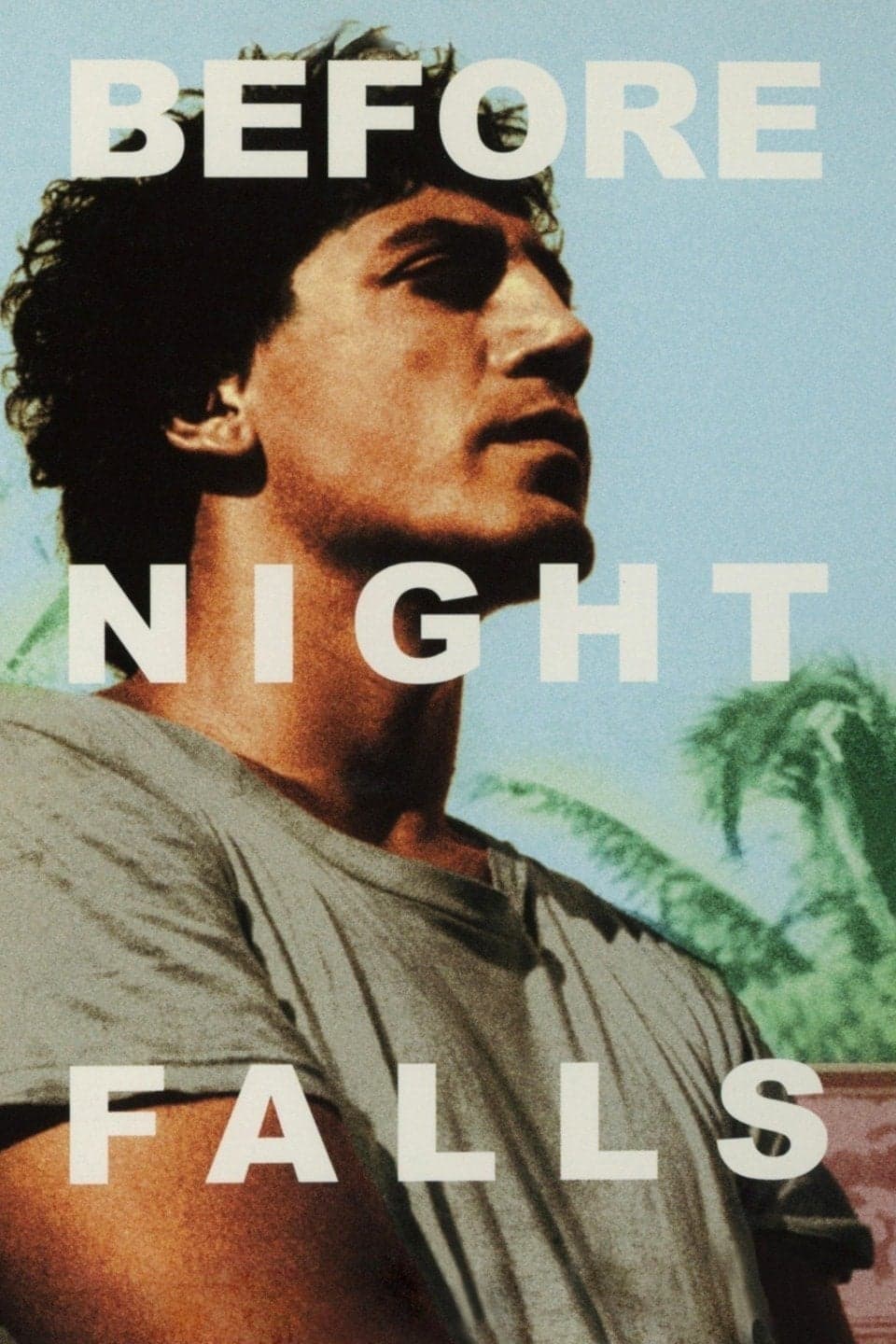 Before Night Falls photo
