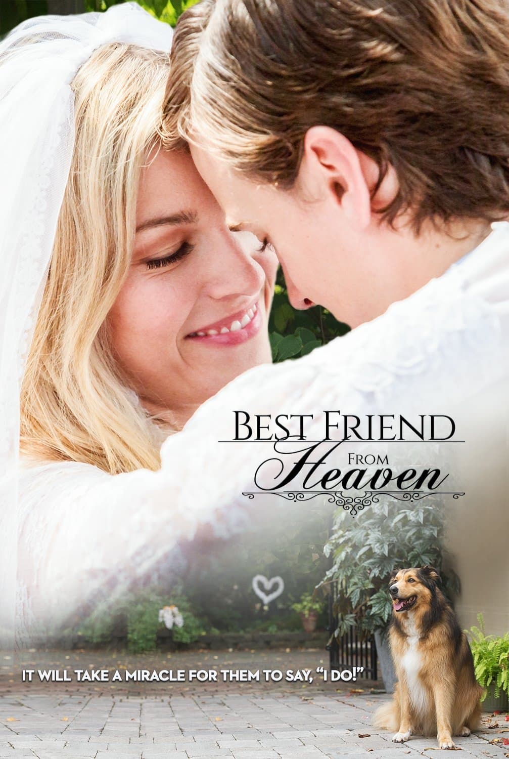 Best Friend from Heaven photo