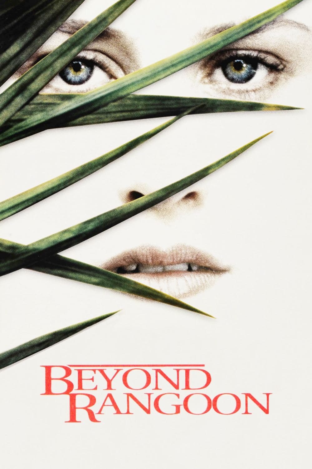 Beyond Rangoon photo