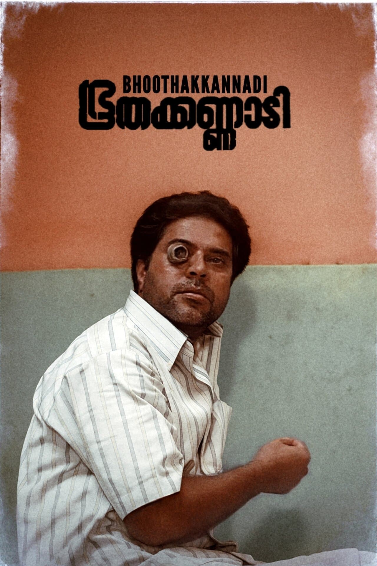 Bhoothakkannadi photo