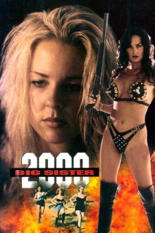 Big Sister 2000 photo