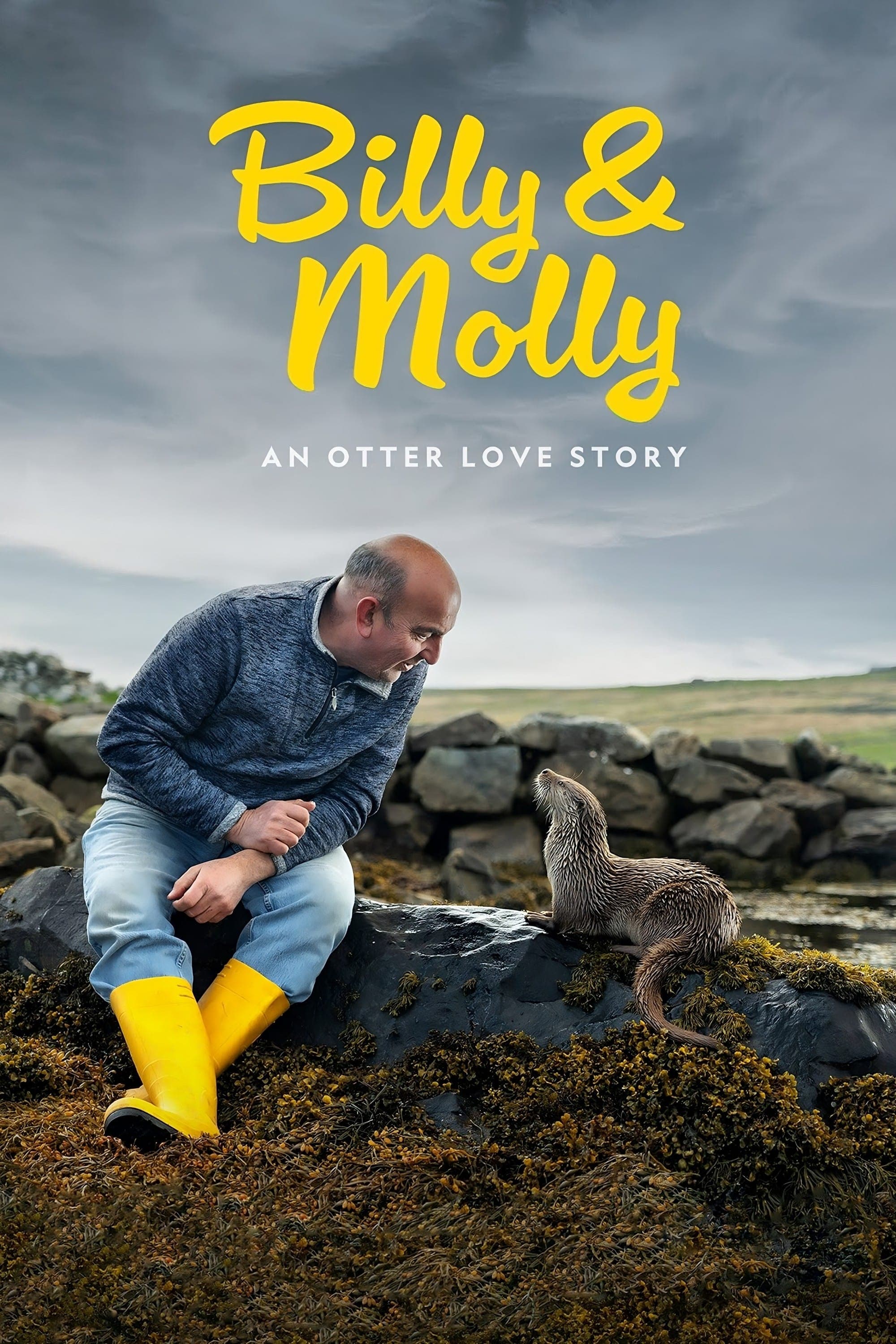 Billy & Molly: An Otter Love Story photo