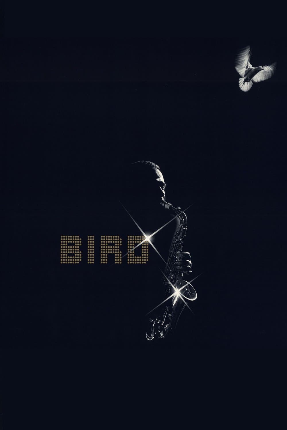 Bird photo