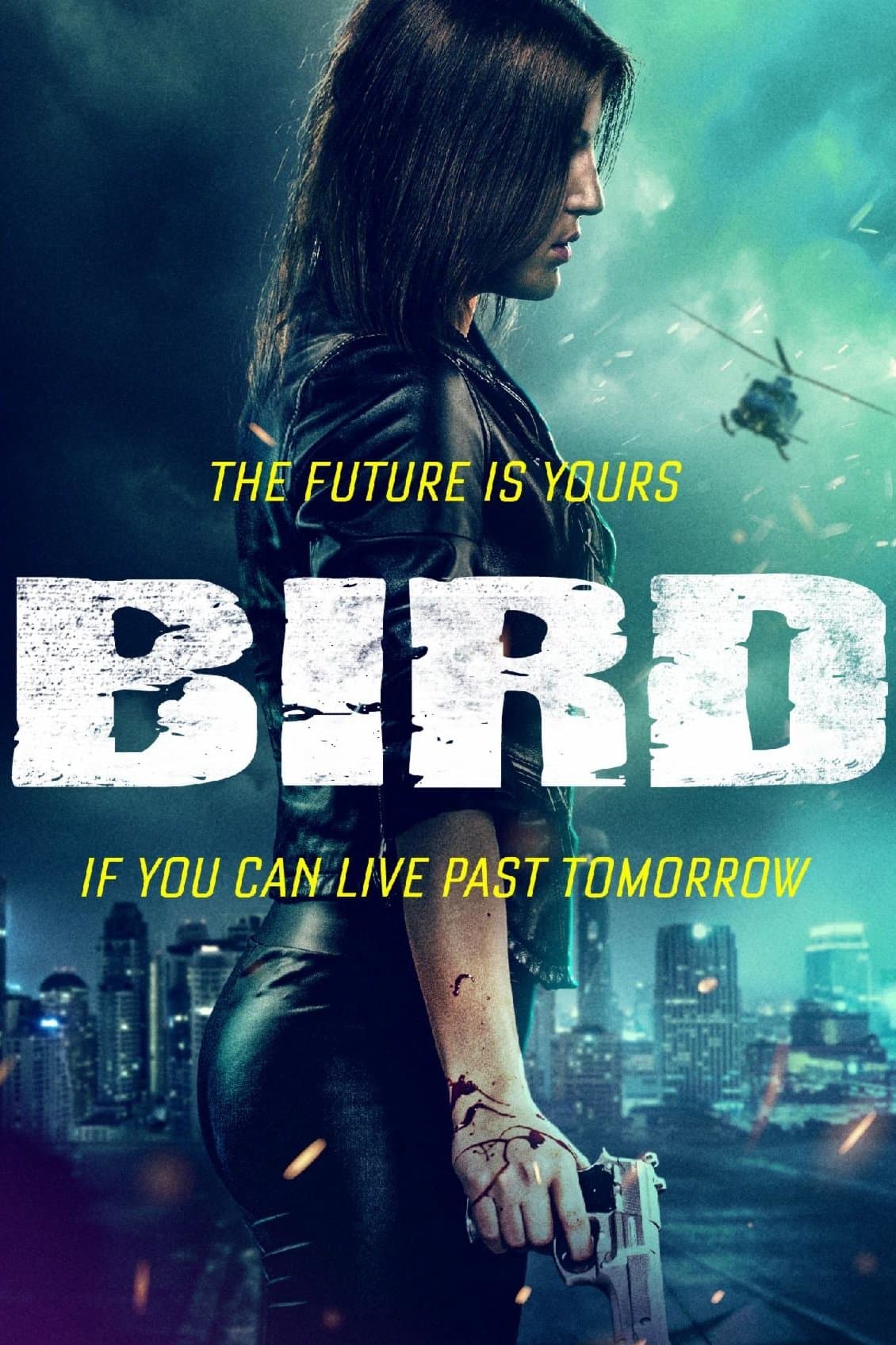 Bird photo