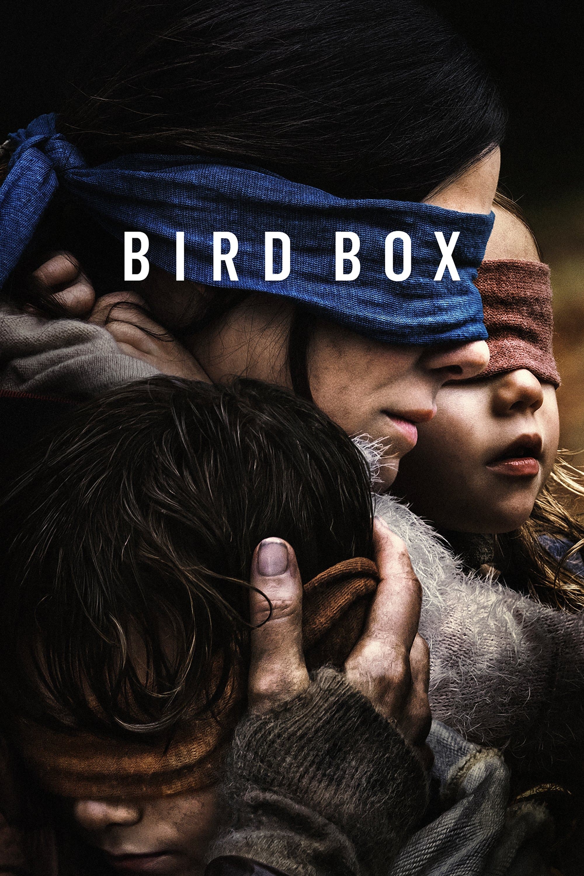 Bird Box photo