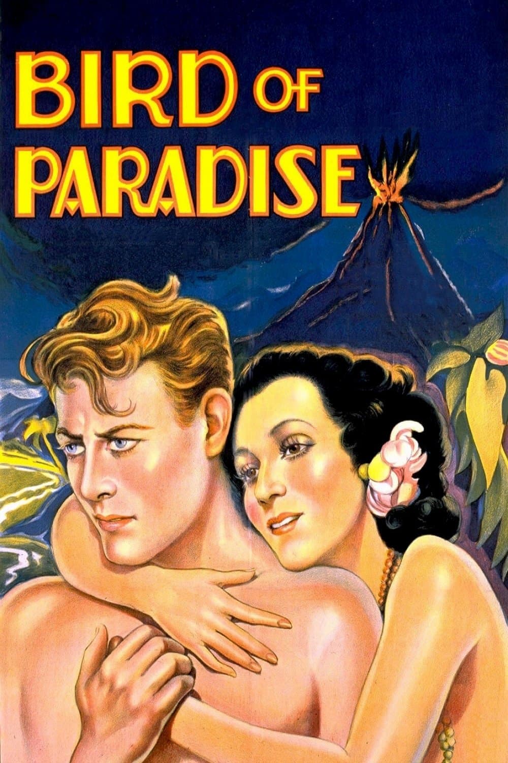 Bird of Paradise photo