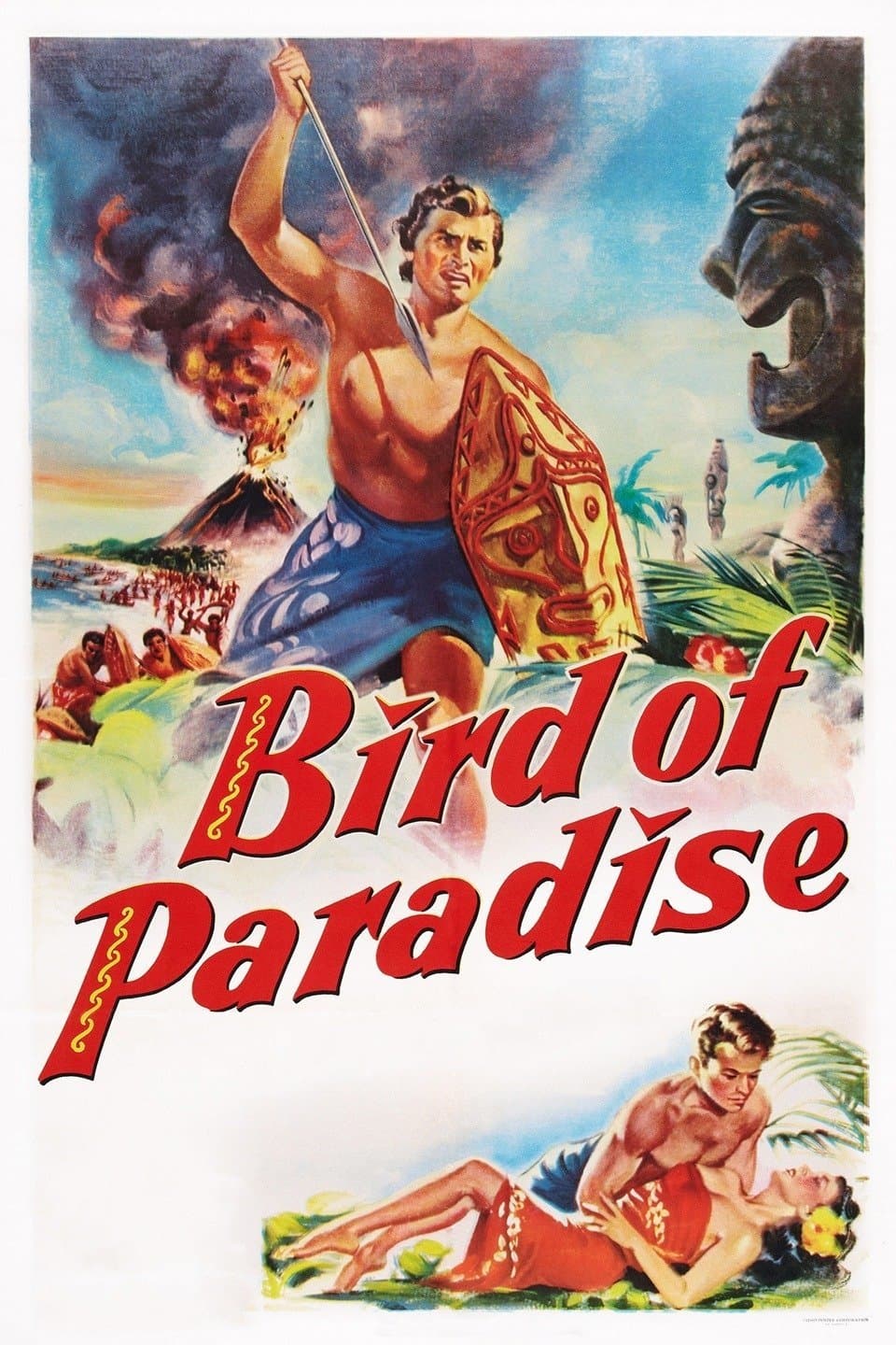 Bird of Paradise photo