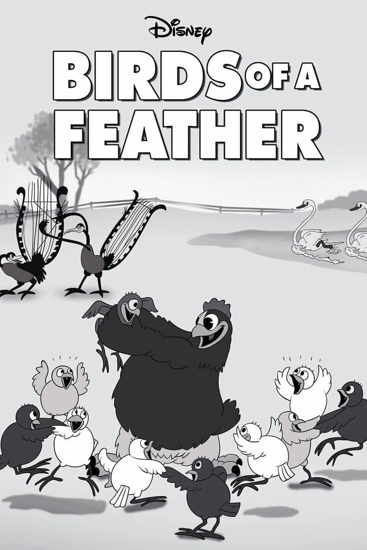 Birds of a Feather photo