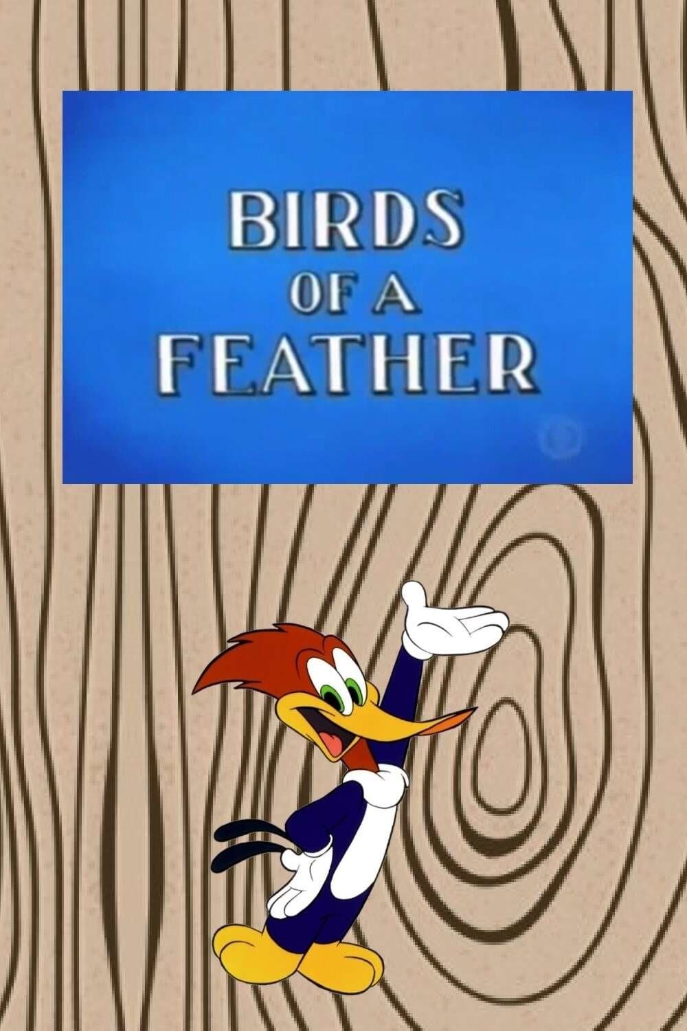 Birds of a Feather photo