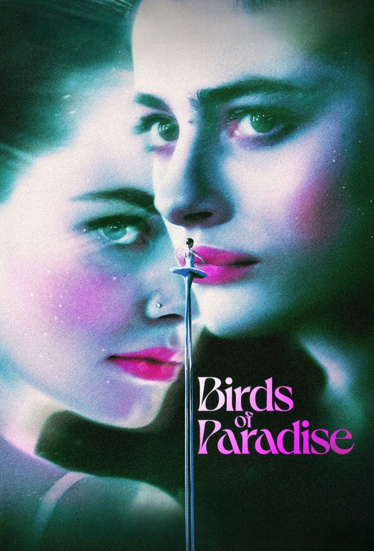 Birds of Paradise photo