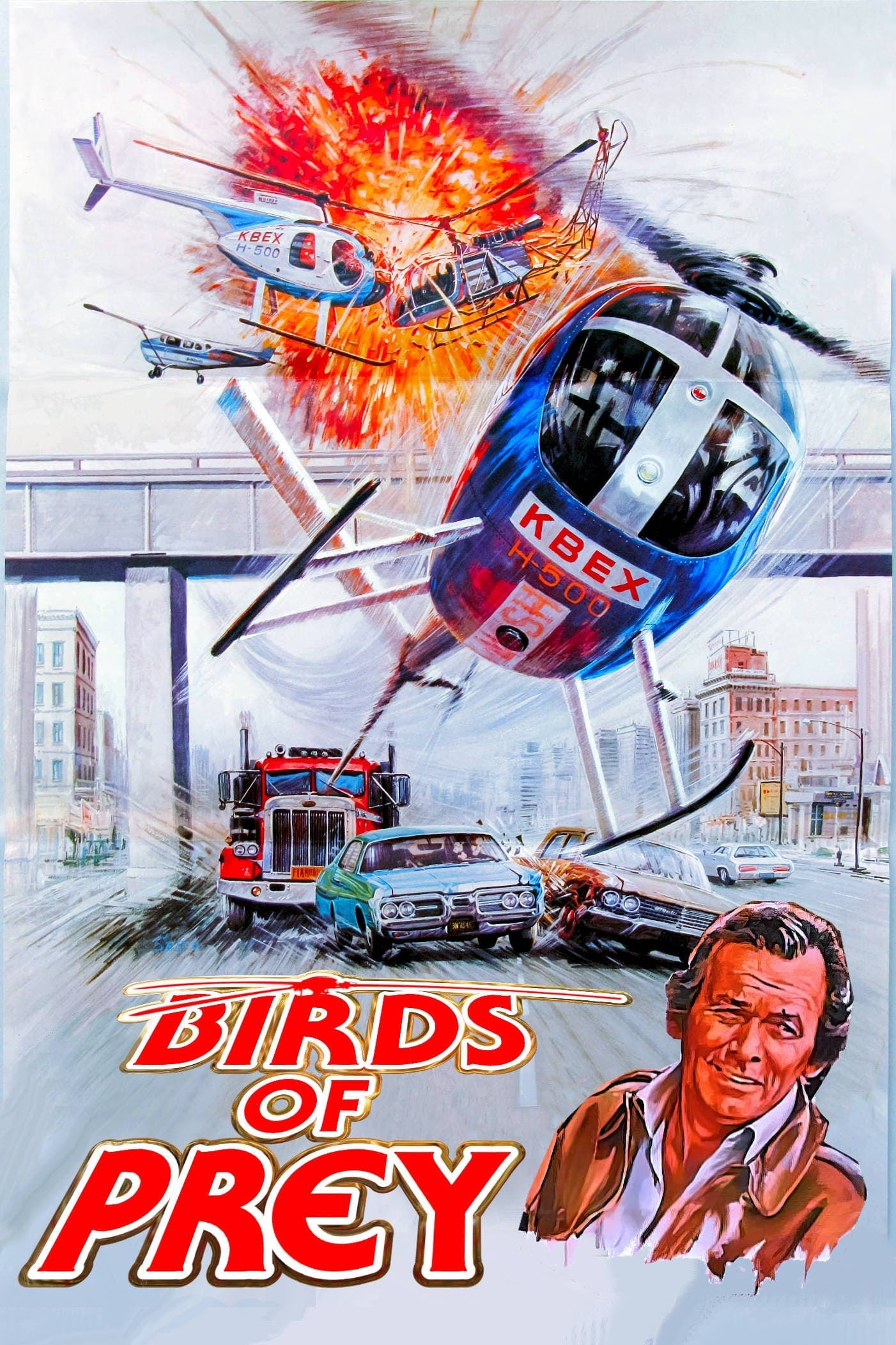 Birds of Prey photo