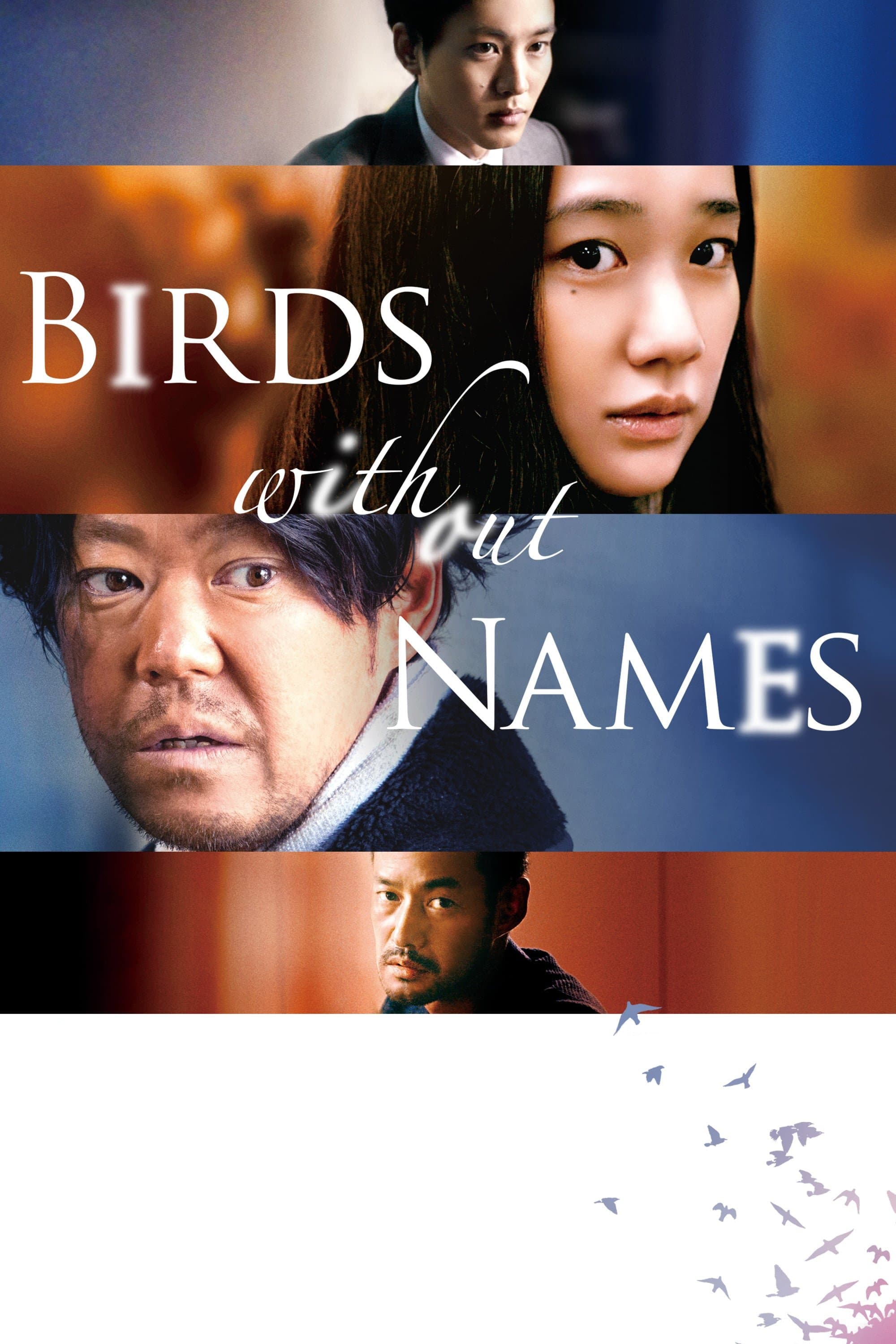 Birds Without Names photo