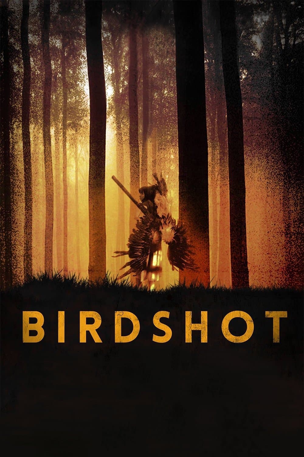 Birdshot photo