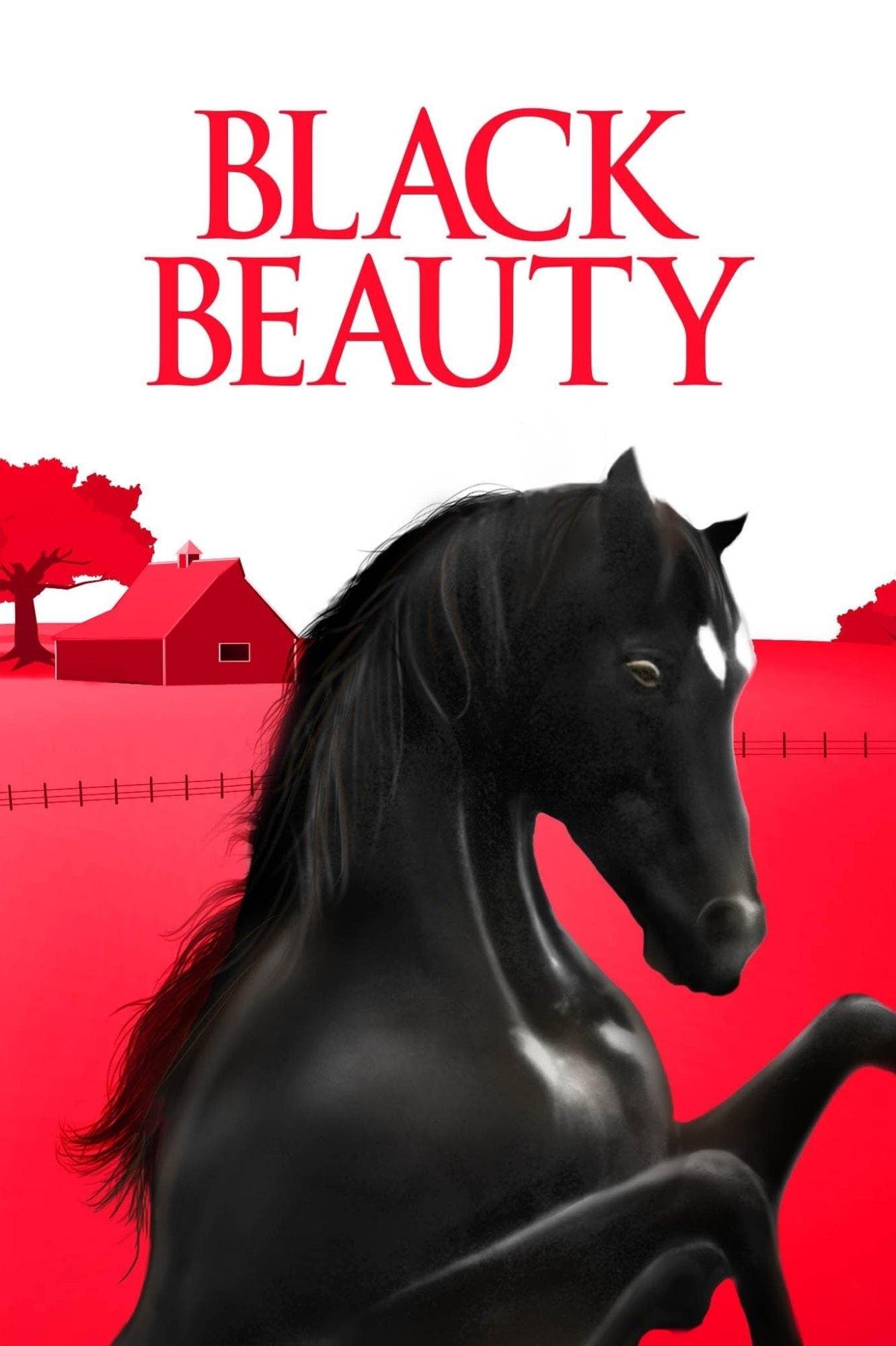 Black Beauty photo