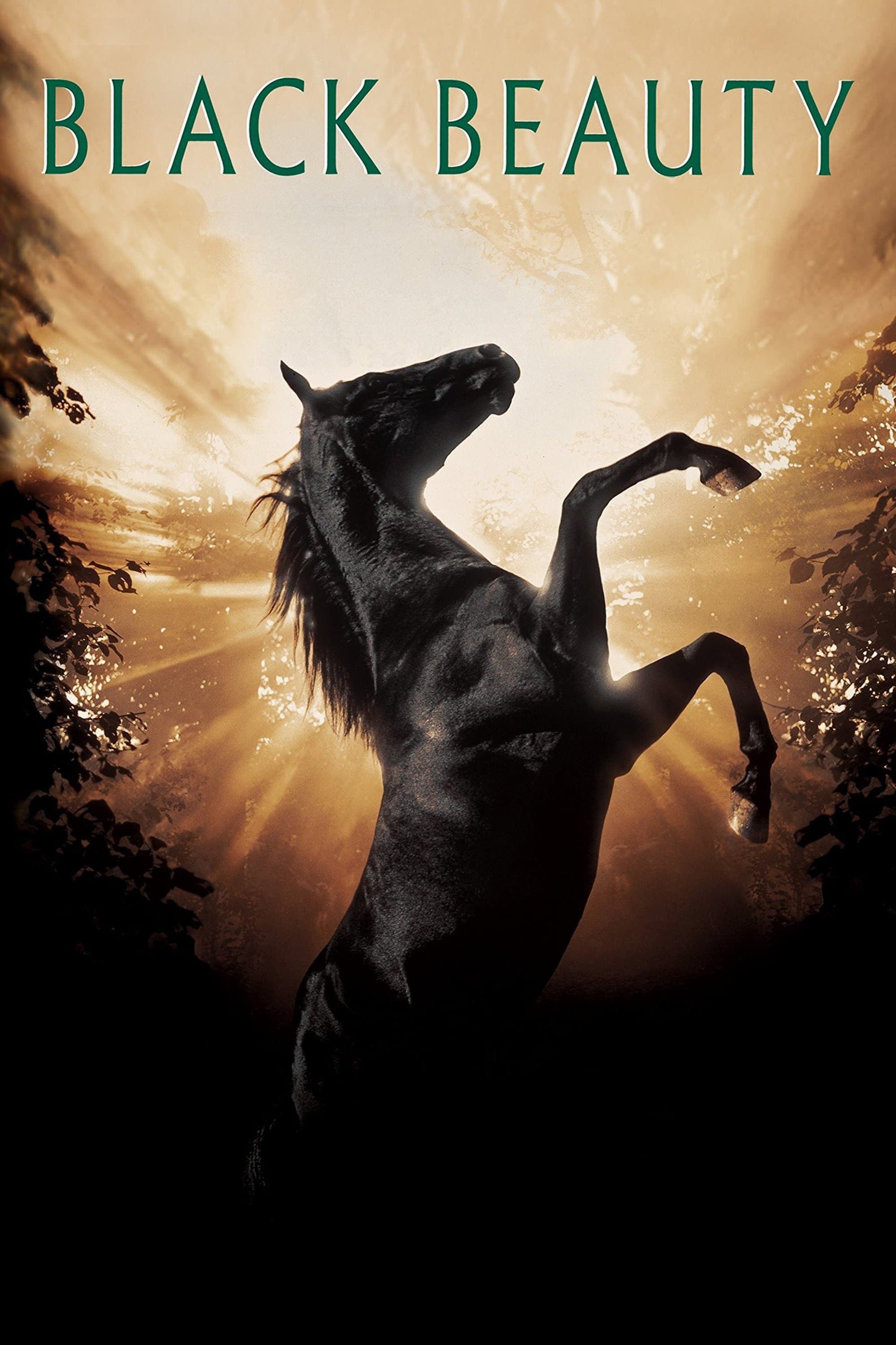 Black Beauty photo